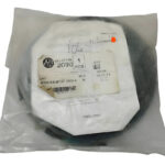 Allen Bradley 2090-xxnphf-14s09 Power Cables Negro