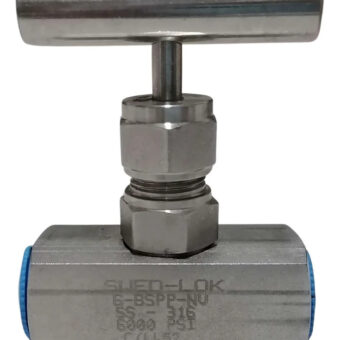 Swedlok 6-bspp-nv-55-316 Acero Inoxidable
