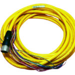 Allen Bradley 889m-f12ah-10 Cable M23 Hembra Recto