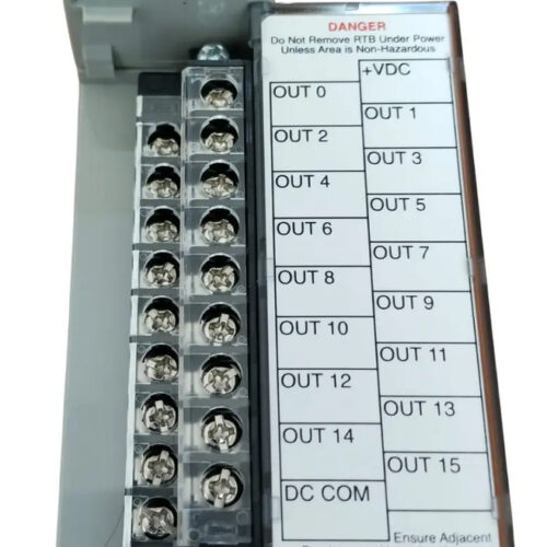 Allen Bradley Compact Logix Modulo 16 Salidas  1769-ob16