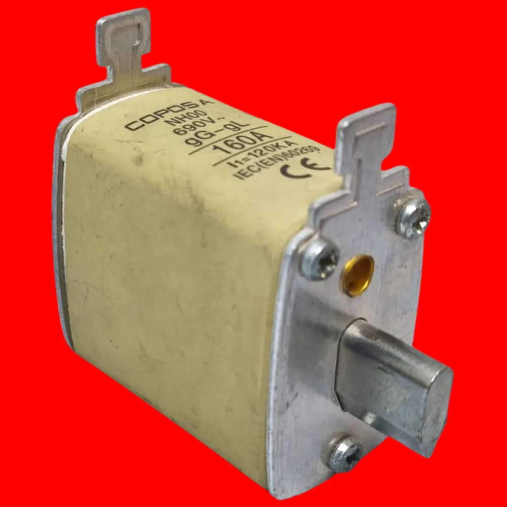 Coposa Nh00 Gg Fusible Nh 690v - Imagen 2