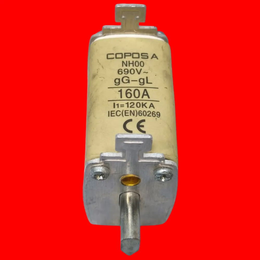 Coposa Nh00 Gg Fusible Nh 690v - Imagen 3