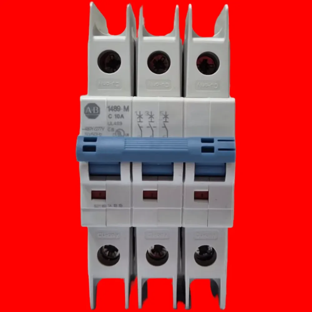 Pastilla Termomagnetica Allen Bradley 1489-m3c100 3 Polos 10 - Imagen 2